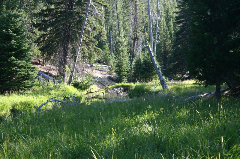 Little Deschutes River Description